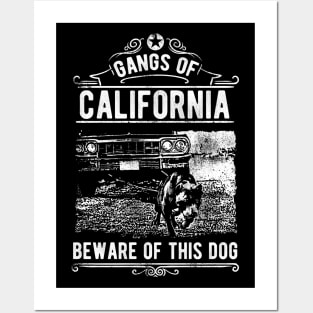 Gangs Of California Posters and Art